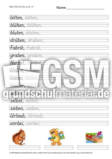 DSS_2S_Bu_b_Nr_10.pdf